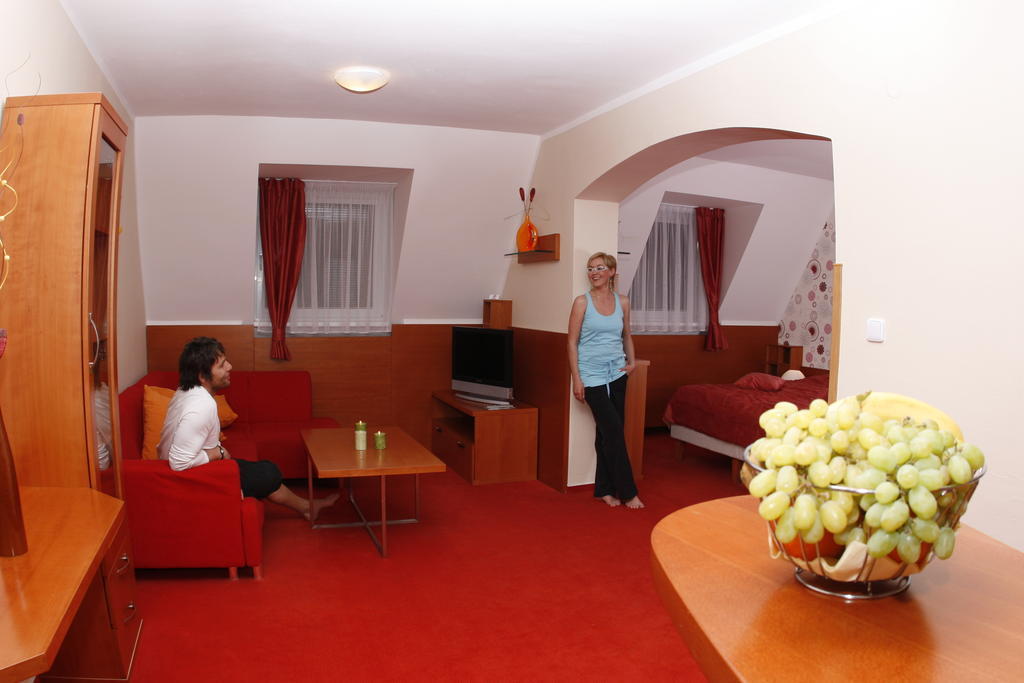 Wellness Hotel Diana Velké Losiny Quarto foto